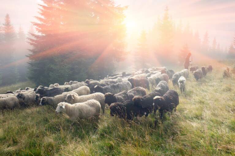 Overcoming Suffering & Surrendering to God: Part 2