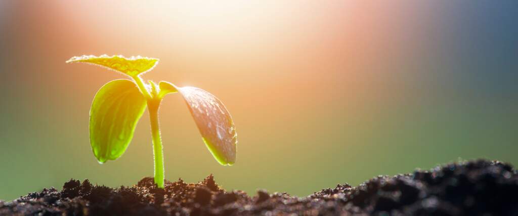 Part 2: “FAITHFUL WAITING ON THE PATHWAY OF LIFE”