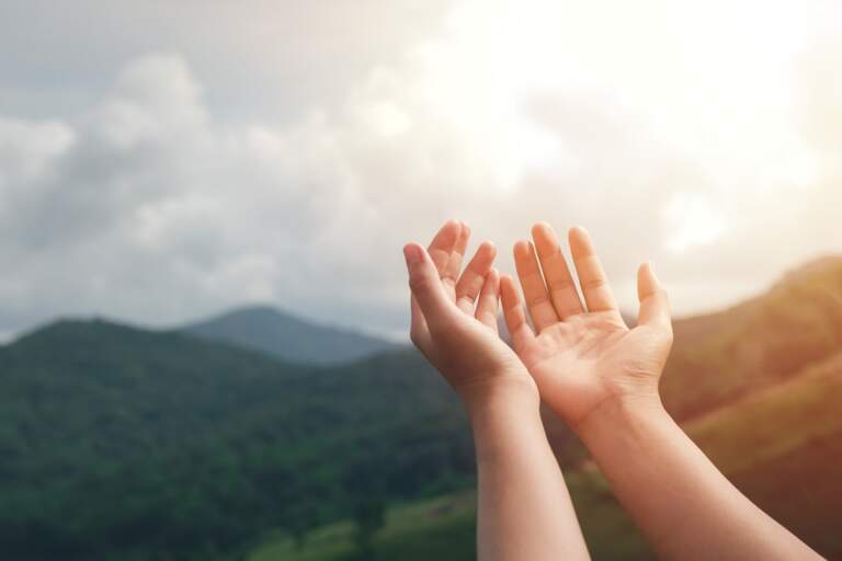 Trusting in Our Shepherd’s Endless Mercy: Part 2