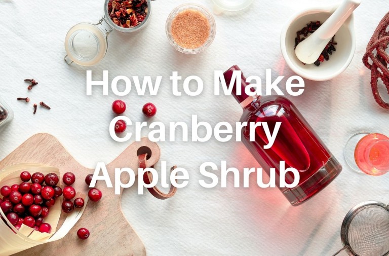 Make your Own Festive Cranberry Apple Shrub