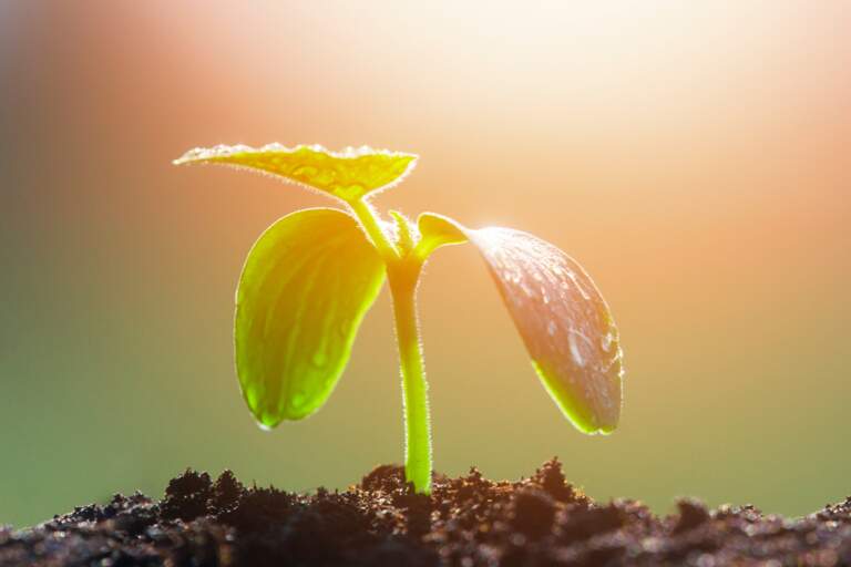 Part 2: &ldquo;FAITHFUL WAITING ON THE PATHWAY OF LIFE&rdquo; 