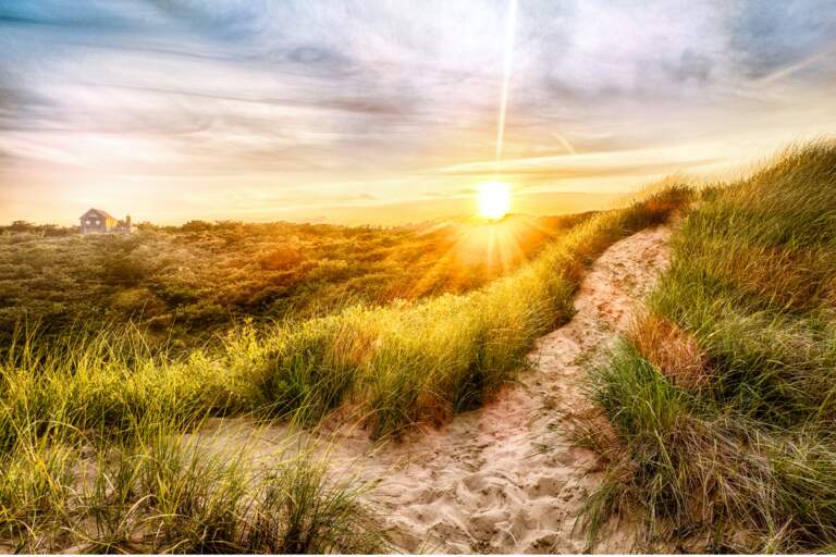 The Journey Through the Wilderness onto a Clear Purpose Focused Path: Part 2